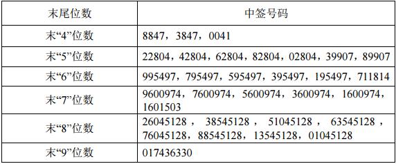 数据港（603881）网上申购中签结果出炉 732881新股中签号查询